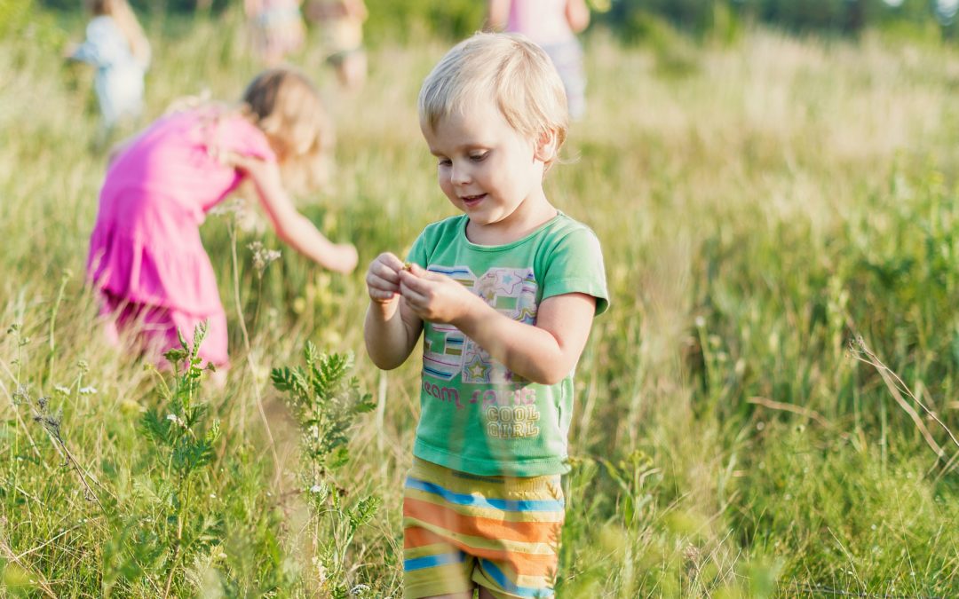 Outdoor Explorers: Nature-Oriented Family Activities in Southern France