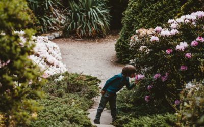 Southern France’s Secret Gardens: Botanical Adventures for Families