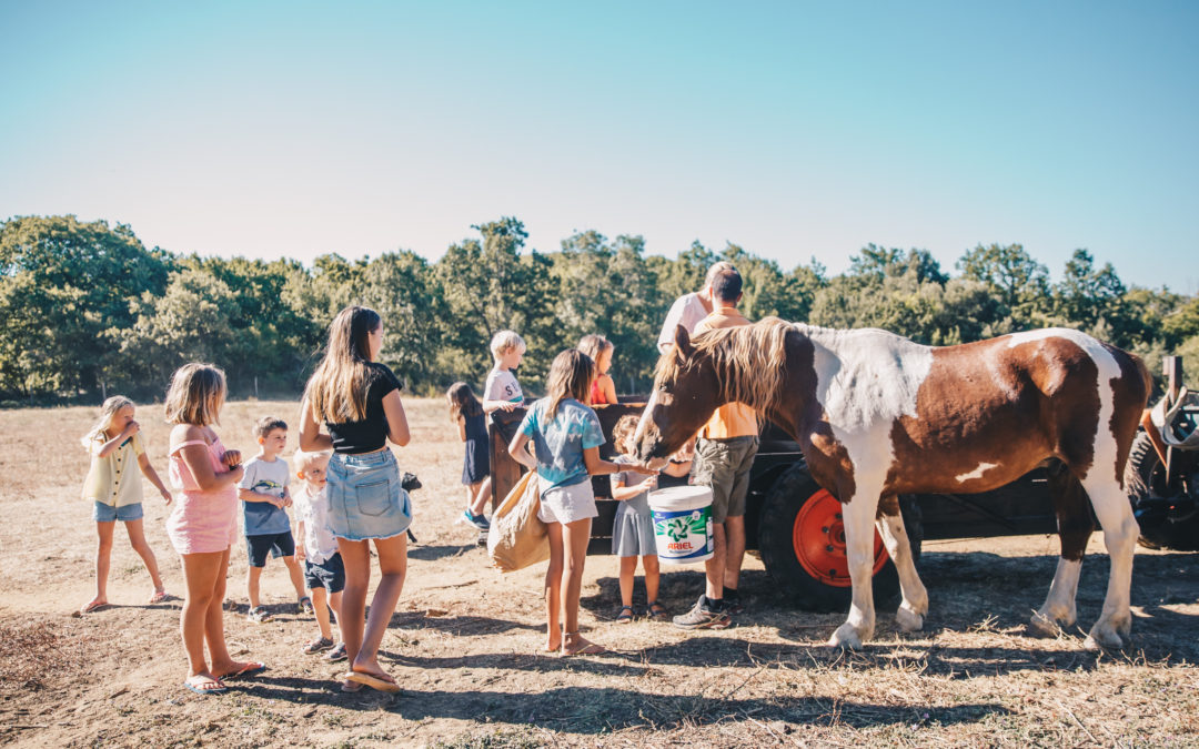 Animal Lovers’ Paradise: Unique Animal Encounters for Families